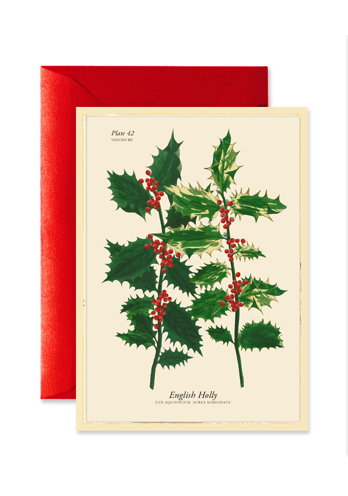 English Holly Blank A7 Greeting Card - Ben's Garden
