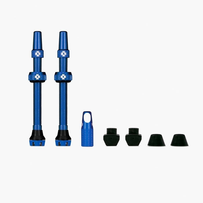Blue / 44mm