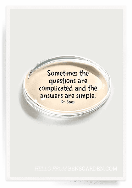 Sometimes The Questions Crystal Dome Paperweight - Ben's Garden