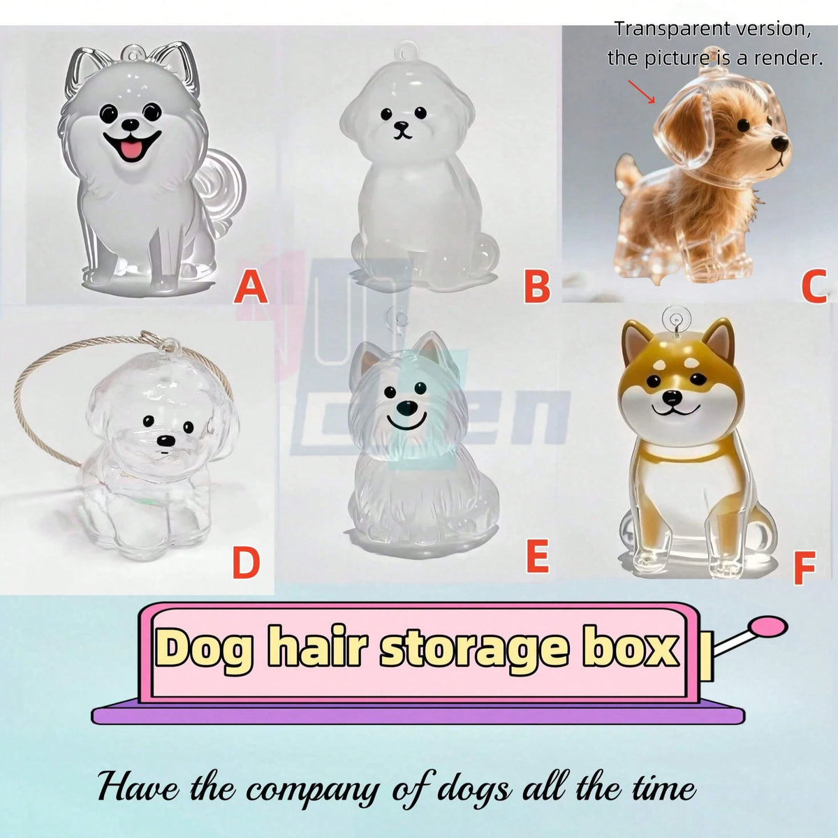 A Random Transparent Small Dog Storage Box For Keeping And Preserving Dog Hair As A Keepsake.