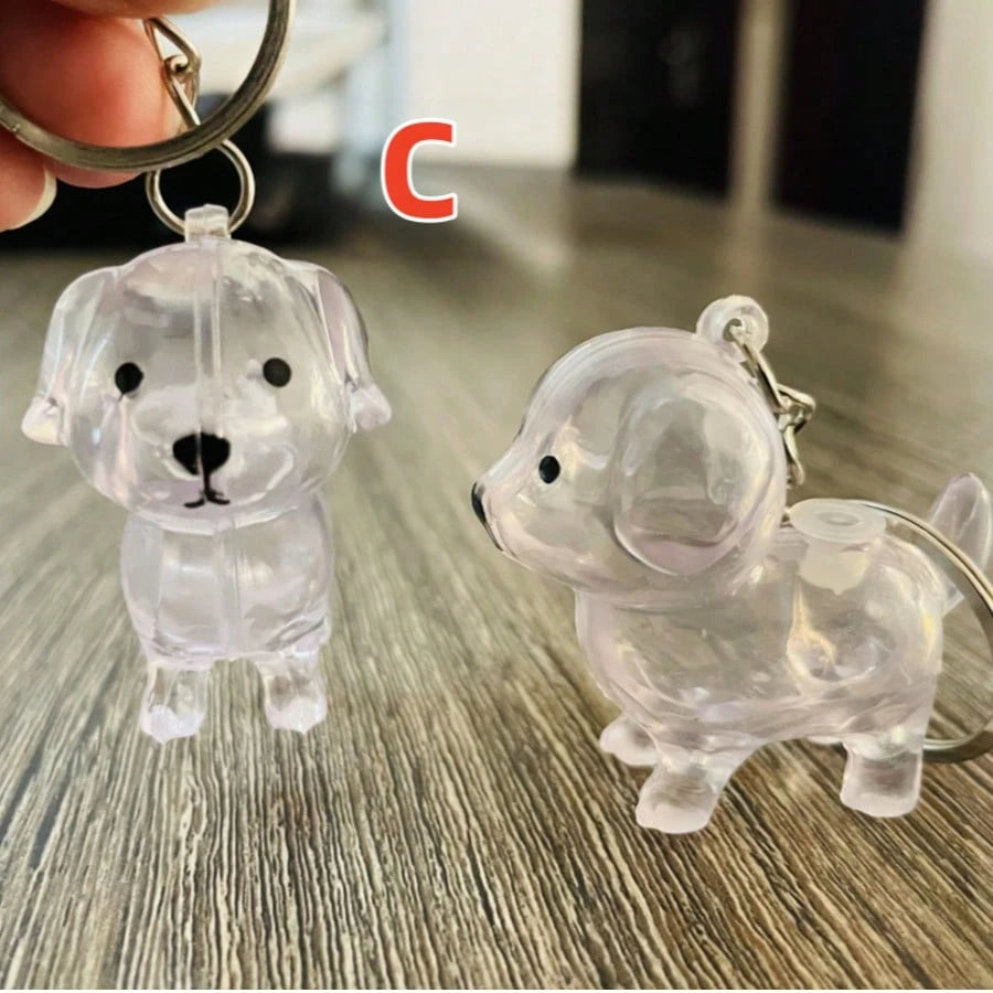 A Random Transparent Small Dog Storage Box For Keeping And Preserving Dog Hair As A Keepsake.
