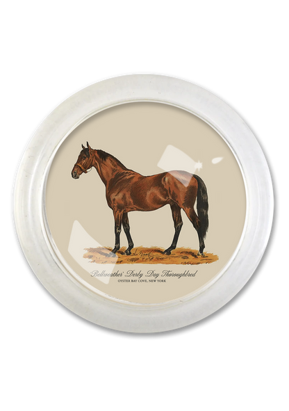 ‘Bellweather’ Derby Day Thoroughbred 4" Round Glass Coaster - Ben's Garden
