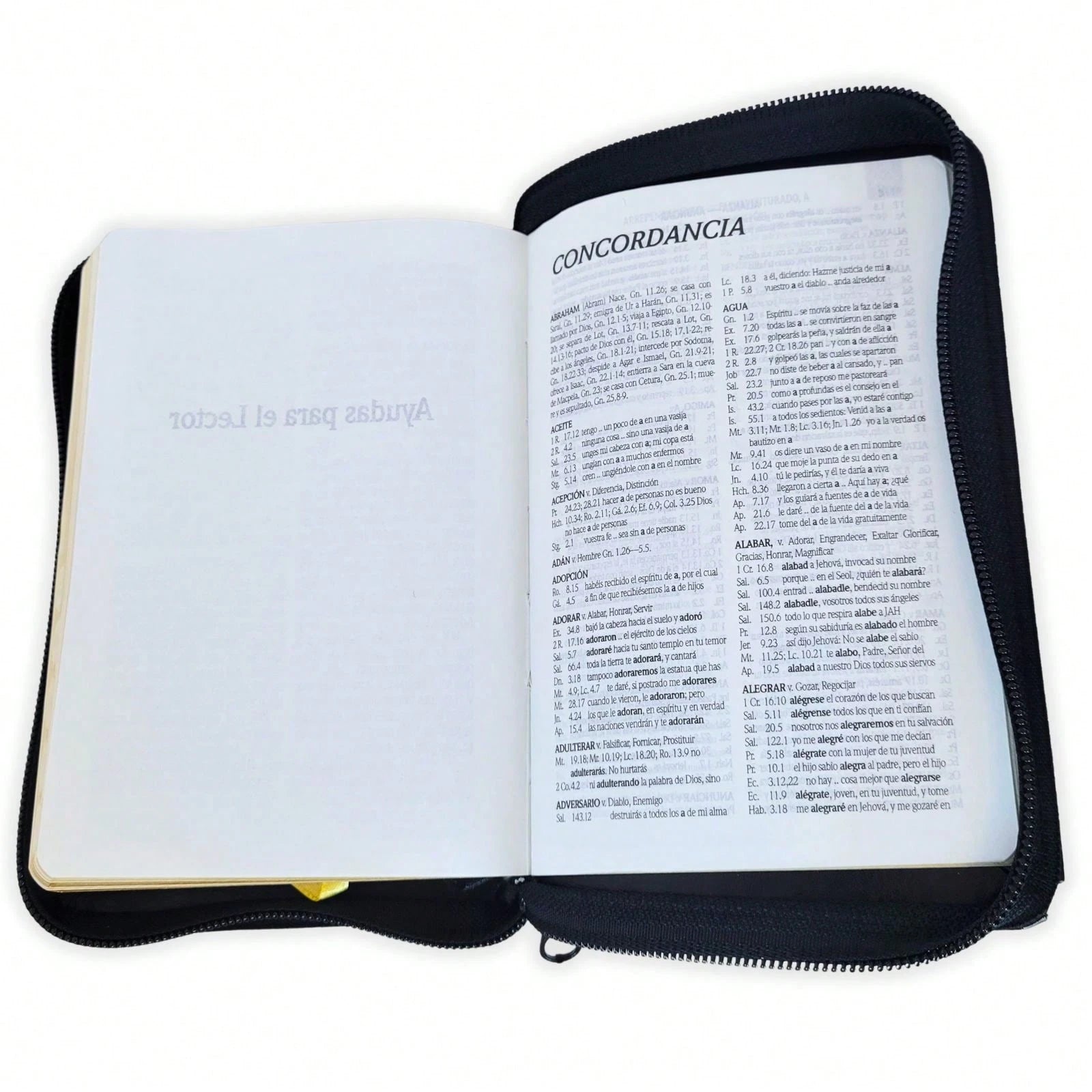 Biblia De Bolsillo Con Cierre RV1960 Imi. Piel Negro Con Indice