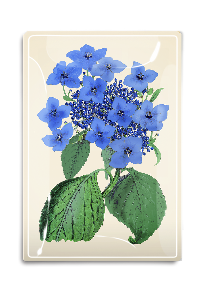 Blue Lace Hydrangea Decoupage Glass Tray - Ben's Garden
