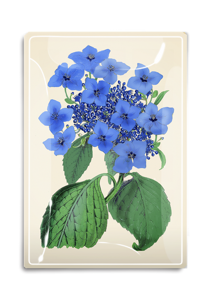 Blue Lace Hydrangea Decoupage Glass Tray - Ben's Garden