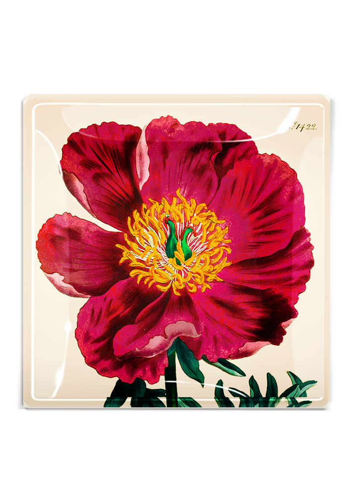 Crimson Japanese Peony Decoupage Tray - Ben's Garden