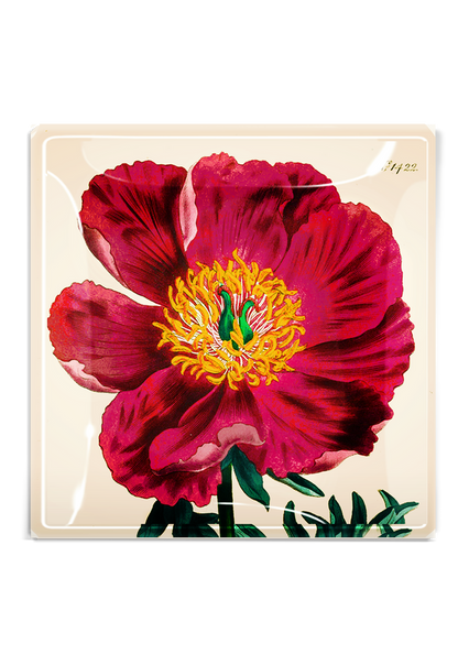 Crimson Japanese Peony Decoupage Tray - Ben's Garden