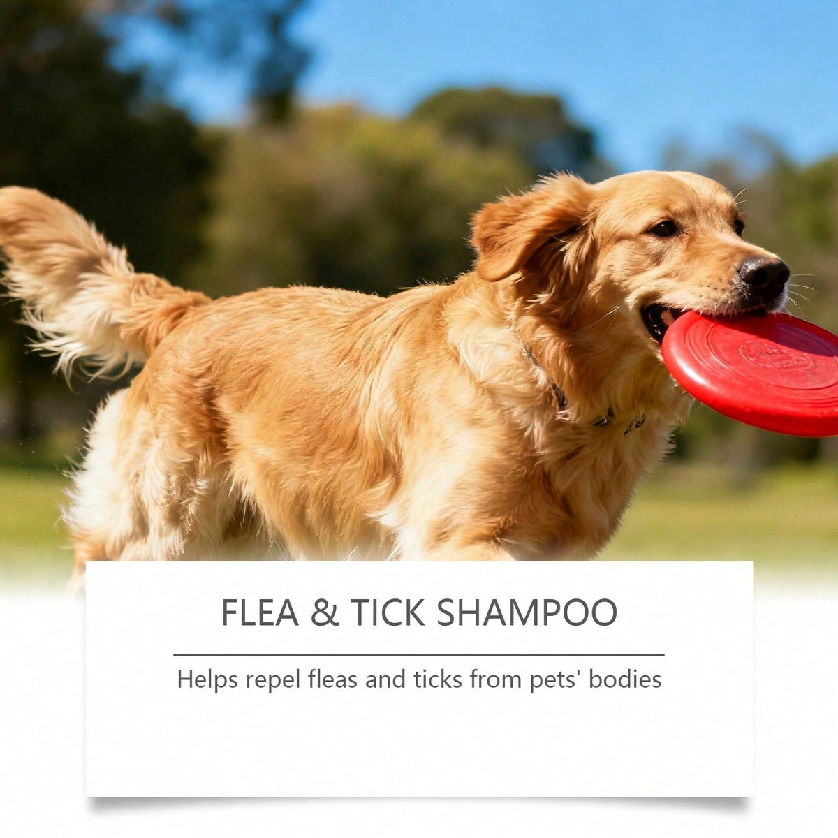 Flea And Tick Shampoo- Gentle And Effective In Removing Odors. It Cleanses The Pet's Hair, Making It Smooth And Fluffy. Ideal For Daily Use And Portable.