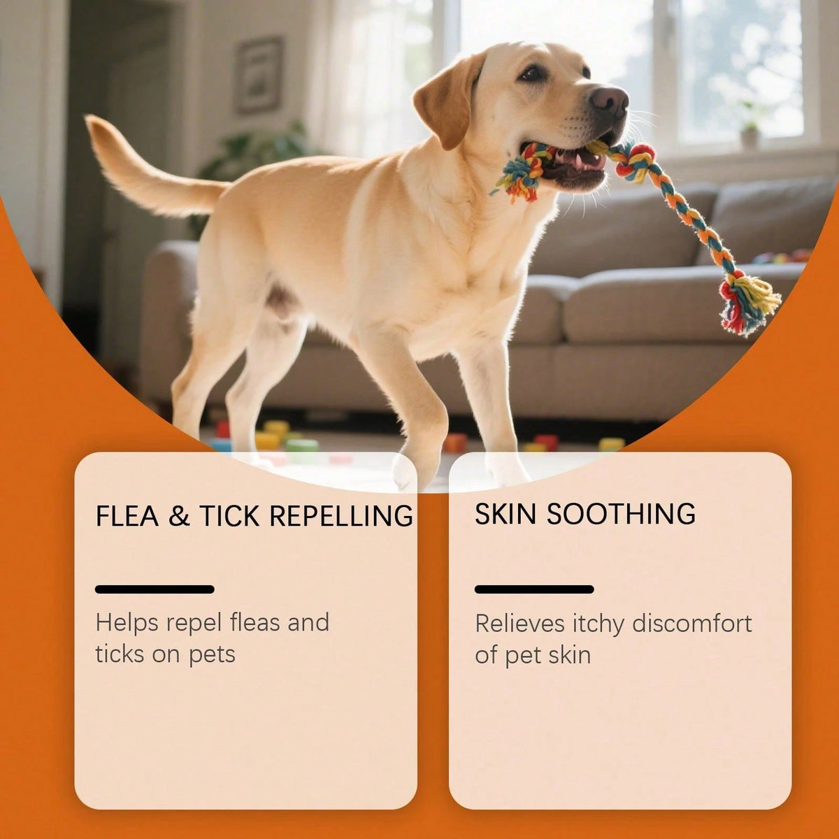 Flea And Tick Shampoo- Gentle And Effective In Removing Odors. It Cleanses The Pet's Hair, Making It Smooth And Fluffy. Ideal For Daily Use And Portable.
