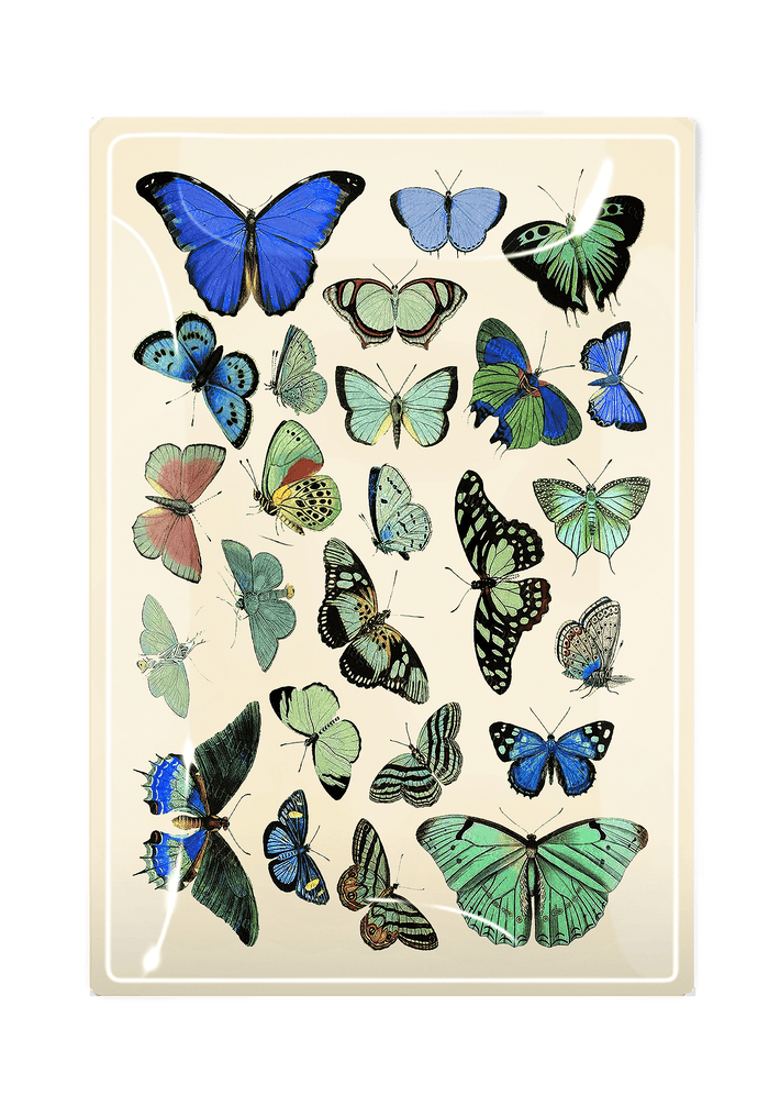 Green/ Blue Wildflower Butterflies Decoupage Glass Tray - Ben's Garden