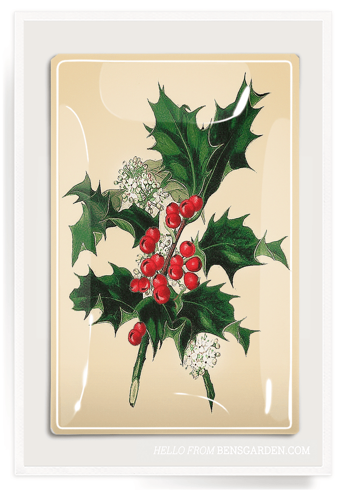 Holly And Berries Decoupage Glass Tray - Ben's Garden
