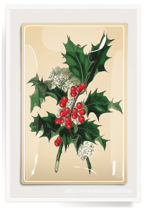 Holly And Berries Decoupage Glass Tray - Ben's Garden