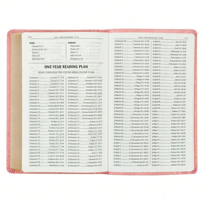KJV Holy Bible, Gift Edition King James Version, Faux Leather Flexible Cover, Blossom Pink Floral (KJV Gift Editions)