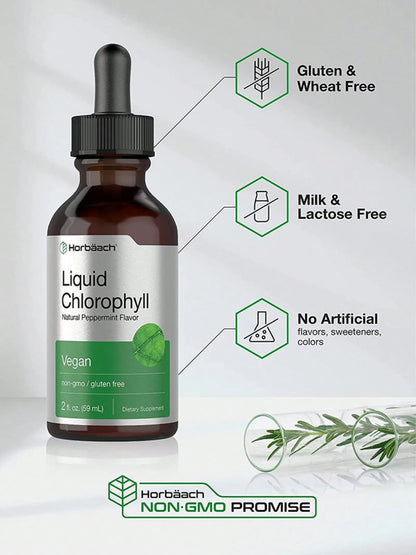 Liquid Chlorophyll Drops 2 Oz, Non-GMO, Natural Peppermint Flavor, By Horbaach