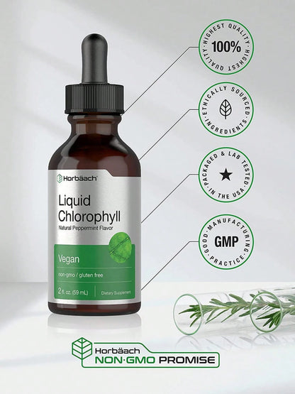 Liquid Chlorophyll Drops 2 Oz, Non-GMO, Natural Peppermint Flavor, By Horbaach