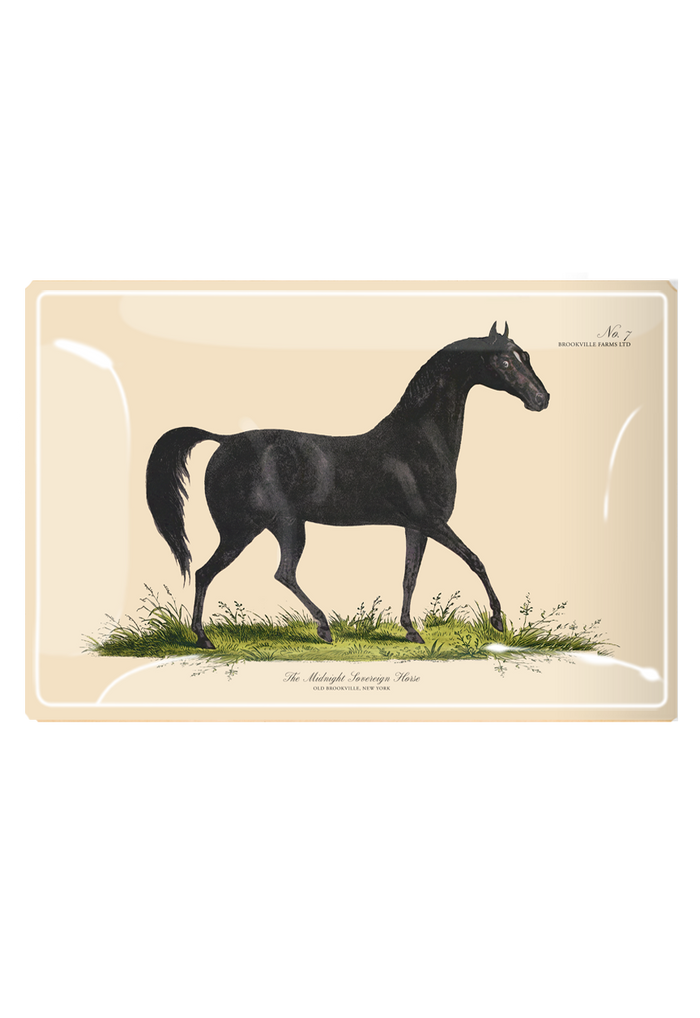 Midnight Sovereign Horse Decoupage Glass Tray