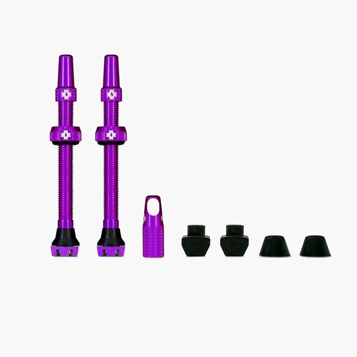 Purple / 44mm