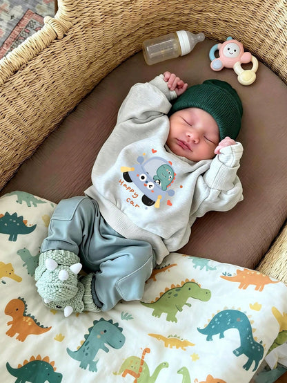 Newborn Creative Cartoon Print Crew Neck Sweatshirt, Featuring Cartoon Dinosaur Pattern. Suitable For Autumn And Winter Wear.