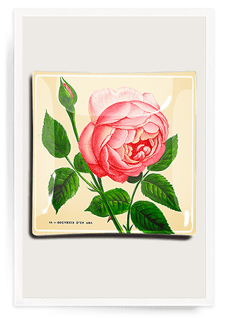 Pink Rose Blossom Decoupage Glass Tray - Ben's Garden