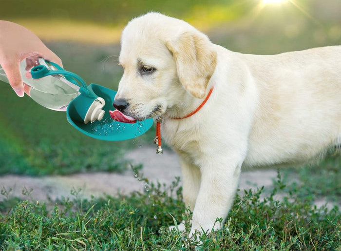 Portable Pet Dog Water Bottle : Perfect Outdoor Water Dispenser