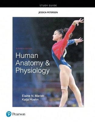 Pre-Owned Anatomy & Physiology For The Prehospital Provider (Paperback) By American Academy Of Orthopaedic Surgeons (AAOS), Bob Elling, Kirsten M. Elling