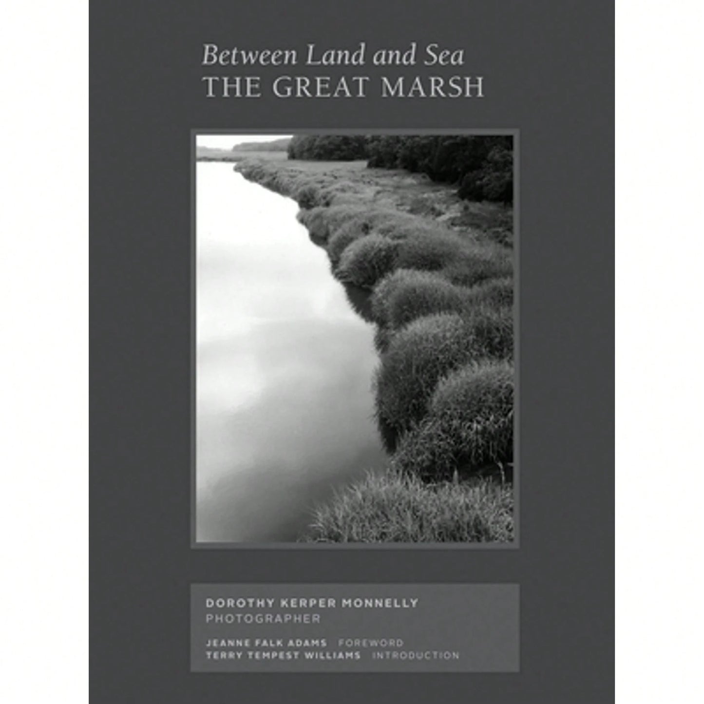 Pre-Owned Between Land And Sea: The Great Marsh: Photographs By Dorothy Kerper Monnelly (Hardcover) By Dorothy Kerper Monnelly, Kaiya On The Mountain