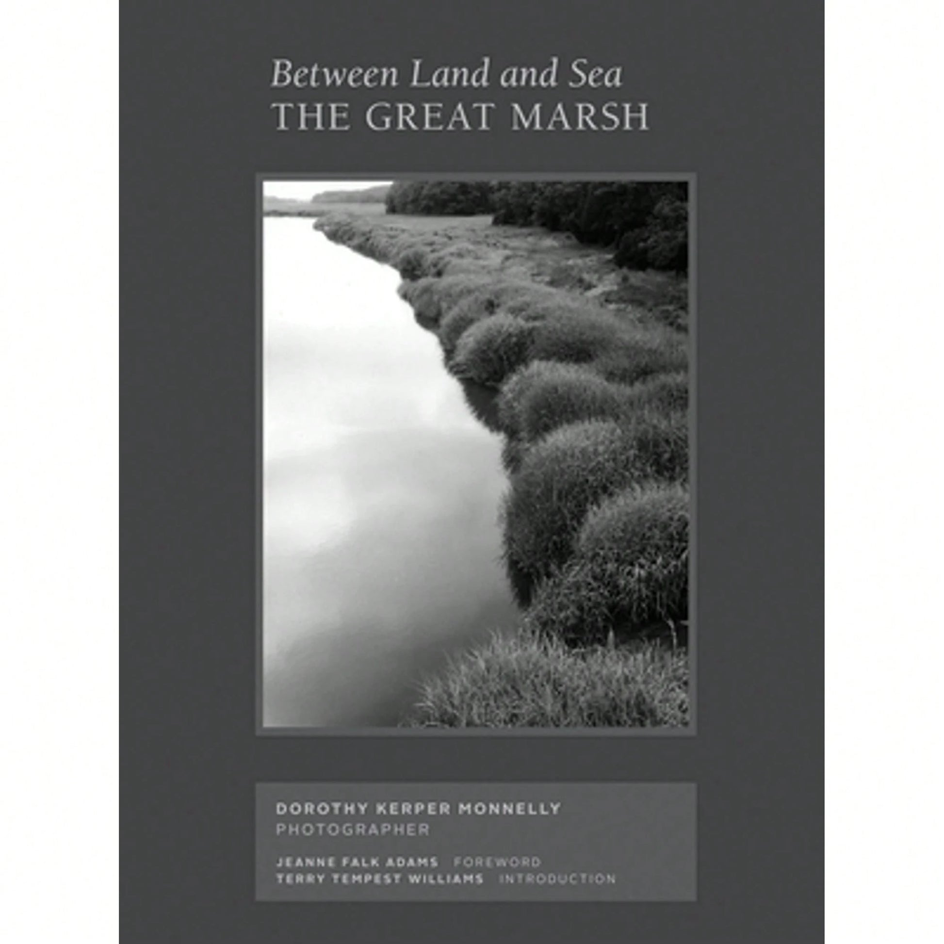 Pre-Owned Between Land And Sea: The Great Marsh: Photographs By Dorothy Kerper Monnelly (Hardcover) By Dorothy Kerper Monnelly, Kaiya On The Mountain