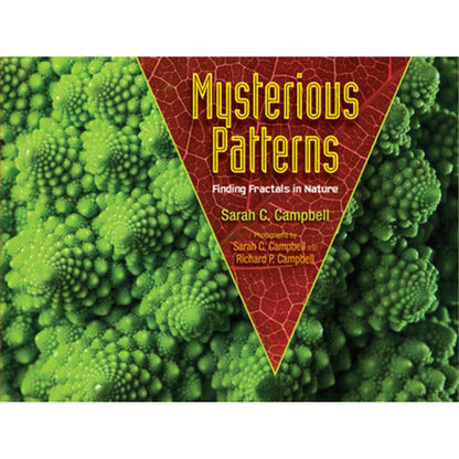 Pre-Owned Mysterious Patterns: Finding Fractals In Nature (Paperback) By Sarah C Campbell, Richard P Campbell