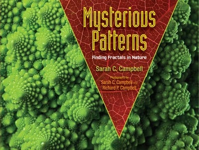 Pre-Owned Mysterious Patterns: Finding Fractals In Nature (Paperback) By Sarah C Campbell, Richard P Campbell