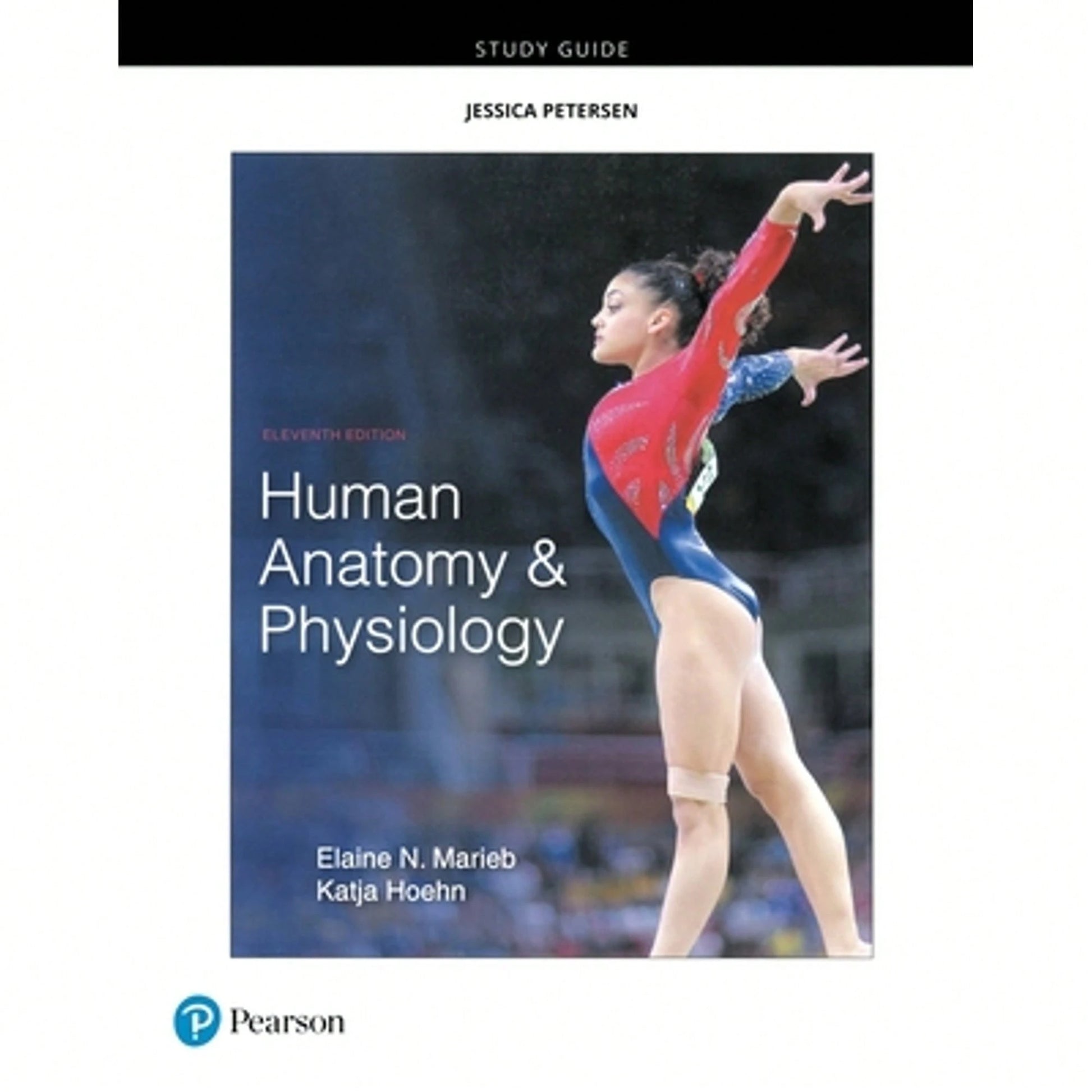 Pre-Owned Study Guide For Human Anatomy & Physiology (Paperback) By Elaine Marieb, Katja Hoehn