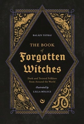Pre-Owned The Good Witch's Perpetual Planner (Paperback) By Shawn Robbins, Charity Bedell