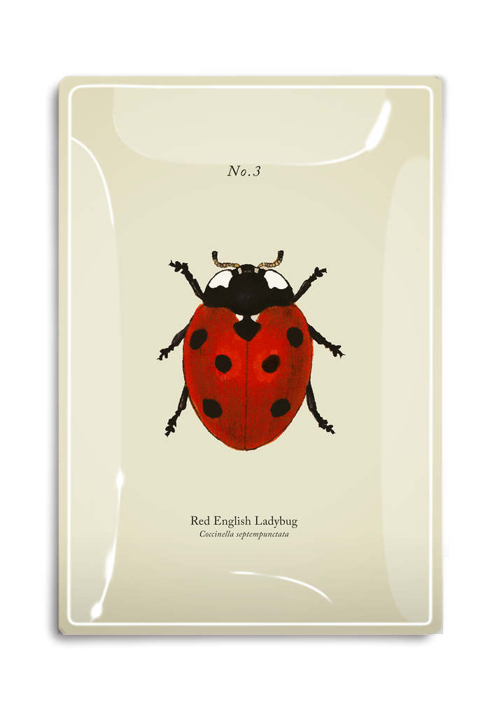 Red English Ladybug Decoupage Glass Tray - Ben's Garden