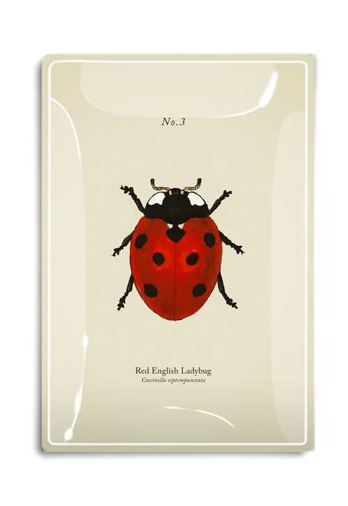 Red English Ladybug Decoupage Glass Tray - Ben's Garden