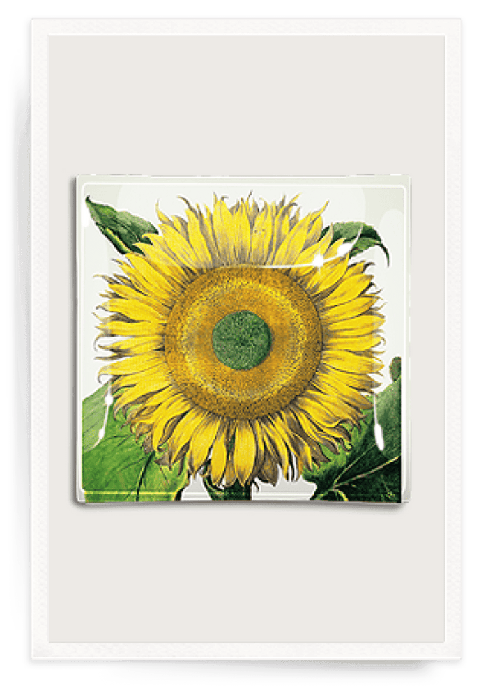 Sunflower No.2 Decoupage Glass Tray - Ben's Garden
