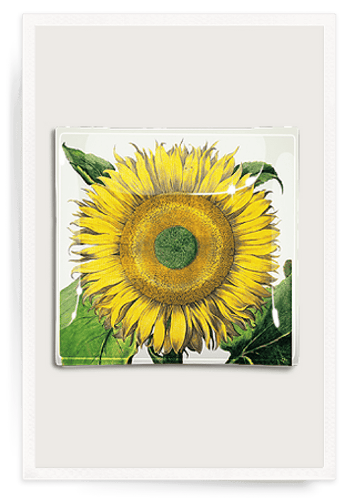 Sunflower No.2 Decoupage Glass Tray - Ben's Garden