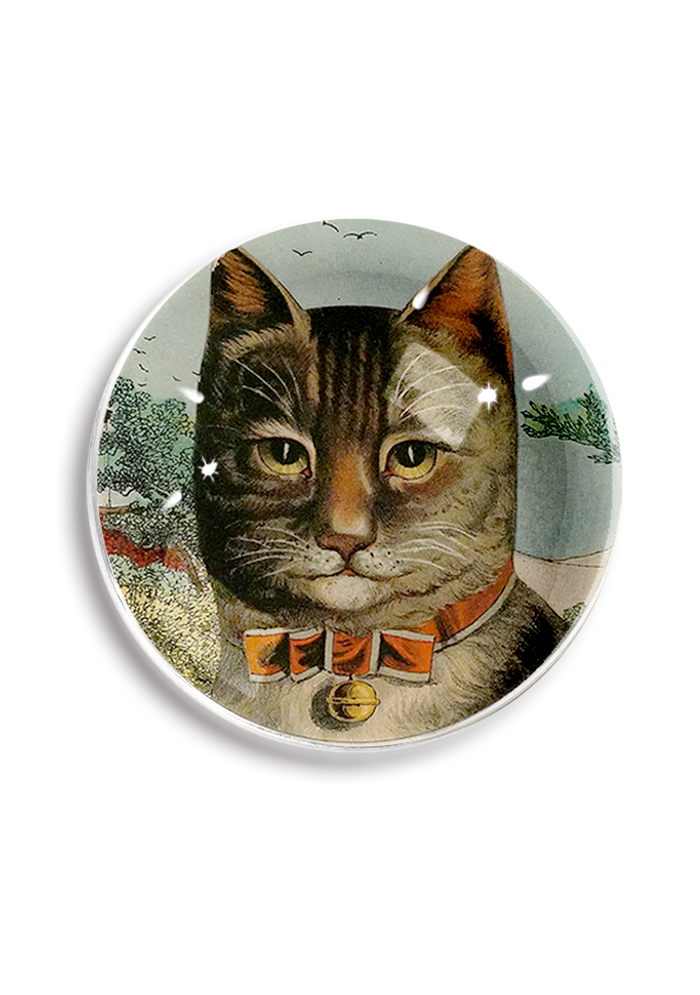 The Clever Cat Paperweight Crystal Dome Paperweight - Ben's Garden