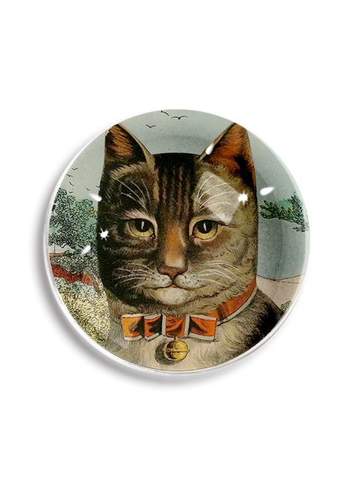 The Clever Cat Paperweight Crystal Dome Paperweight - Ben's Garden