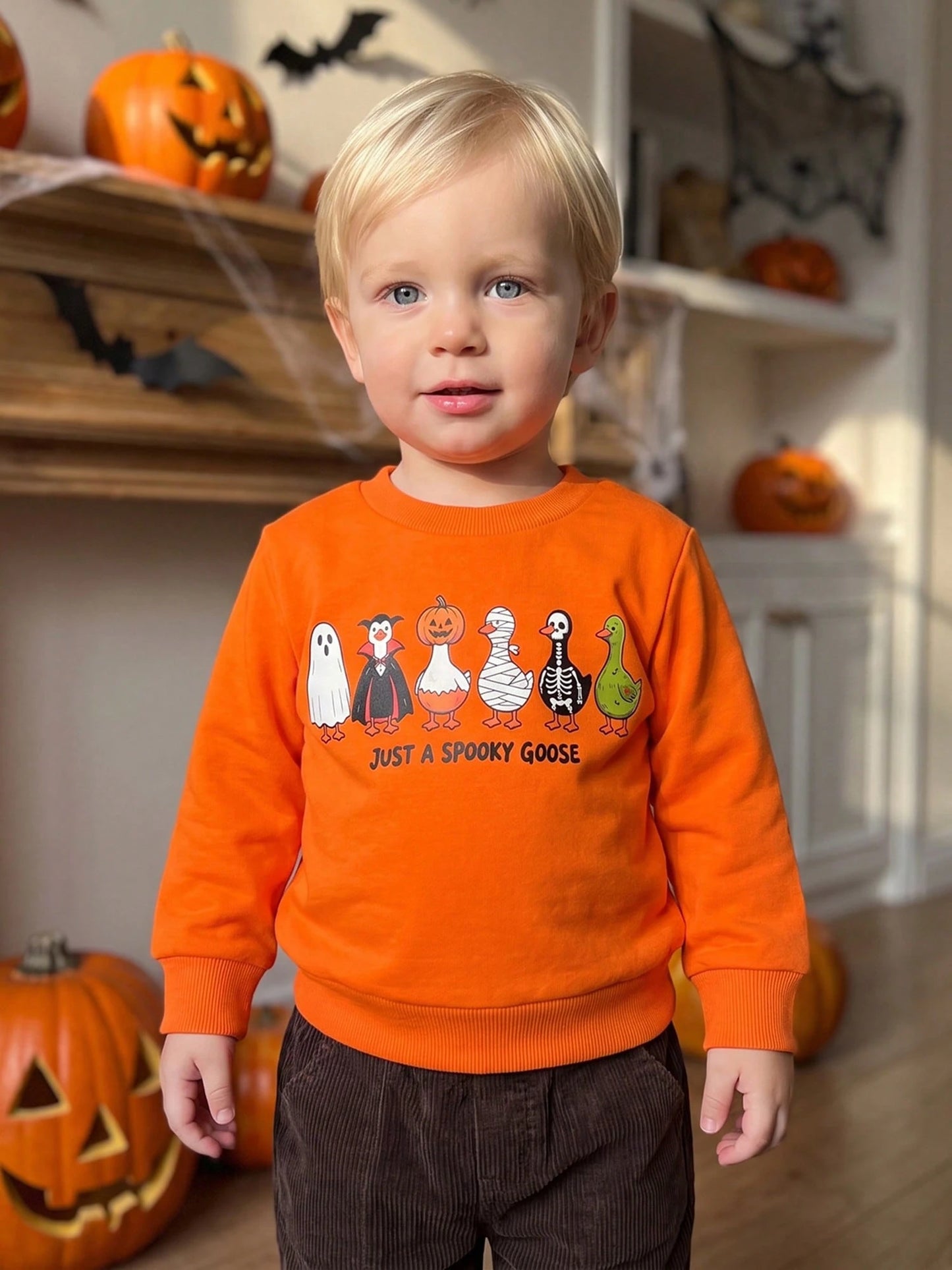 Toddler Baby Boy Halloween Sweatshirts Long Sleeve Goose Print Fall Tops