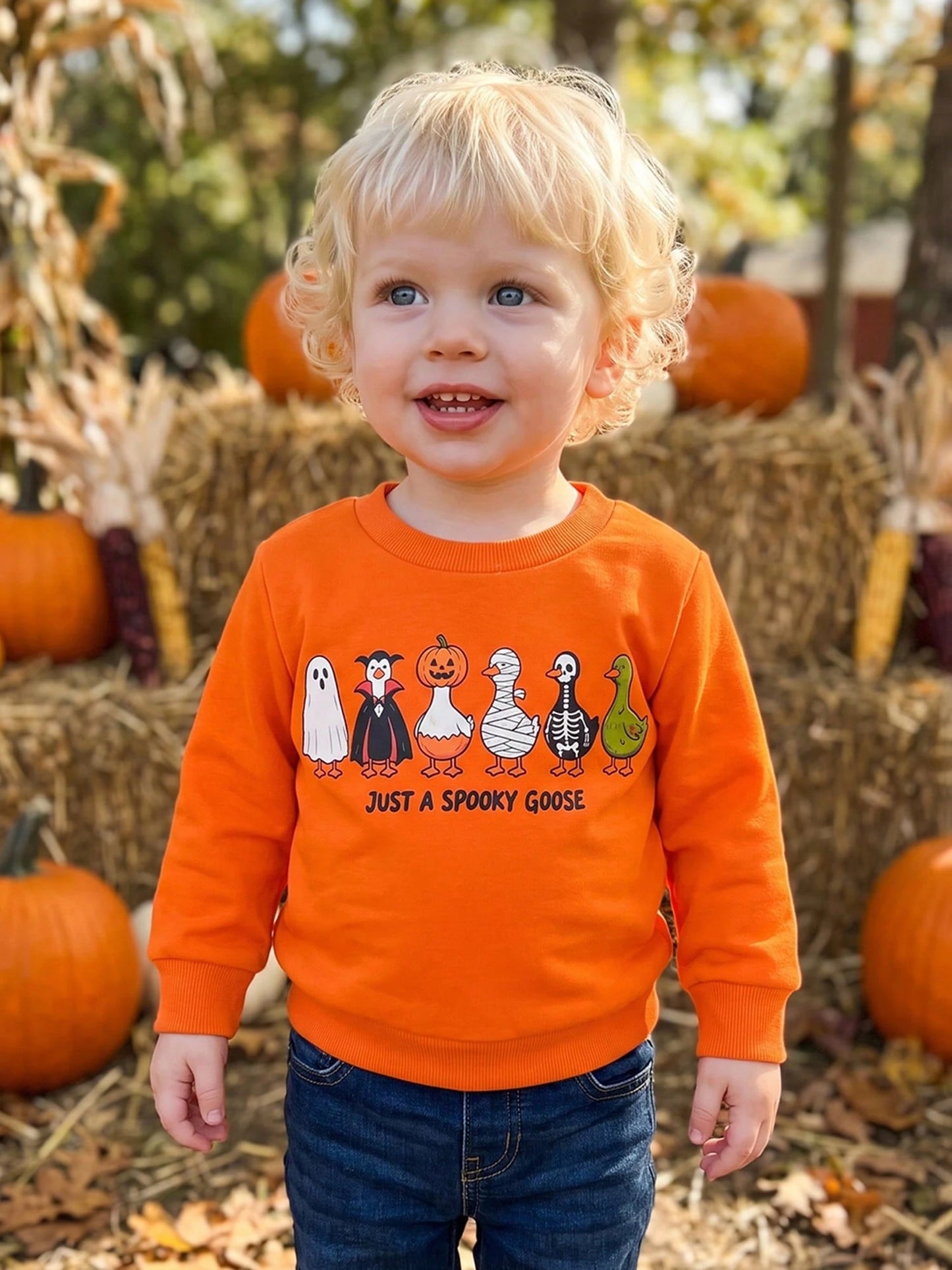 Toddler Baby Boy Halloween Sweatshirts Long Sleeve Goose Print Fall Tops