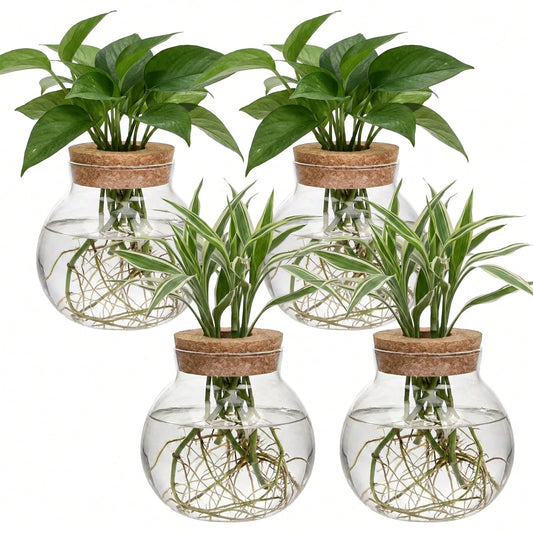 Tomnk 4Pcs Clear Glass Hydroponic Plant Pots With Cork Lids, Round Desktop Water Planters For Indoor Plant Cuttings, Home & Garden Decor