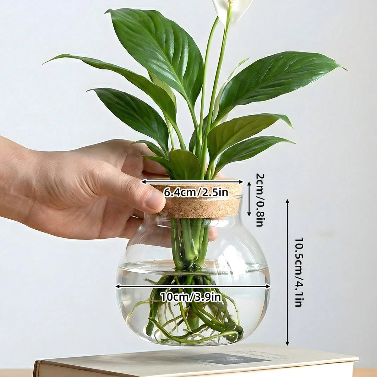 Tomnk 4Pcs Clear Glass Hydroponic Plant Pots With Cork Lids, Round Desktop Water Planters For Indoor Plant Cuttings, Home & Garden Decor