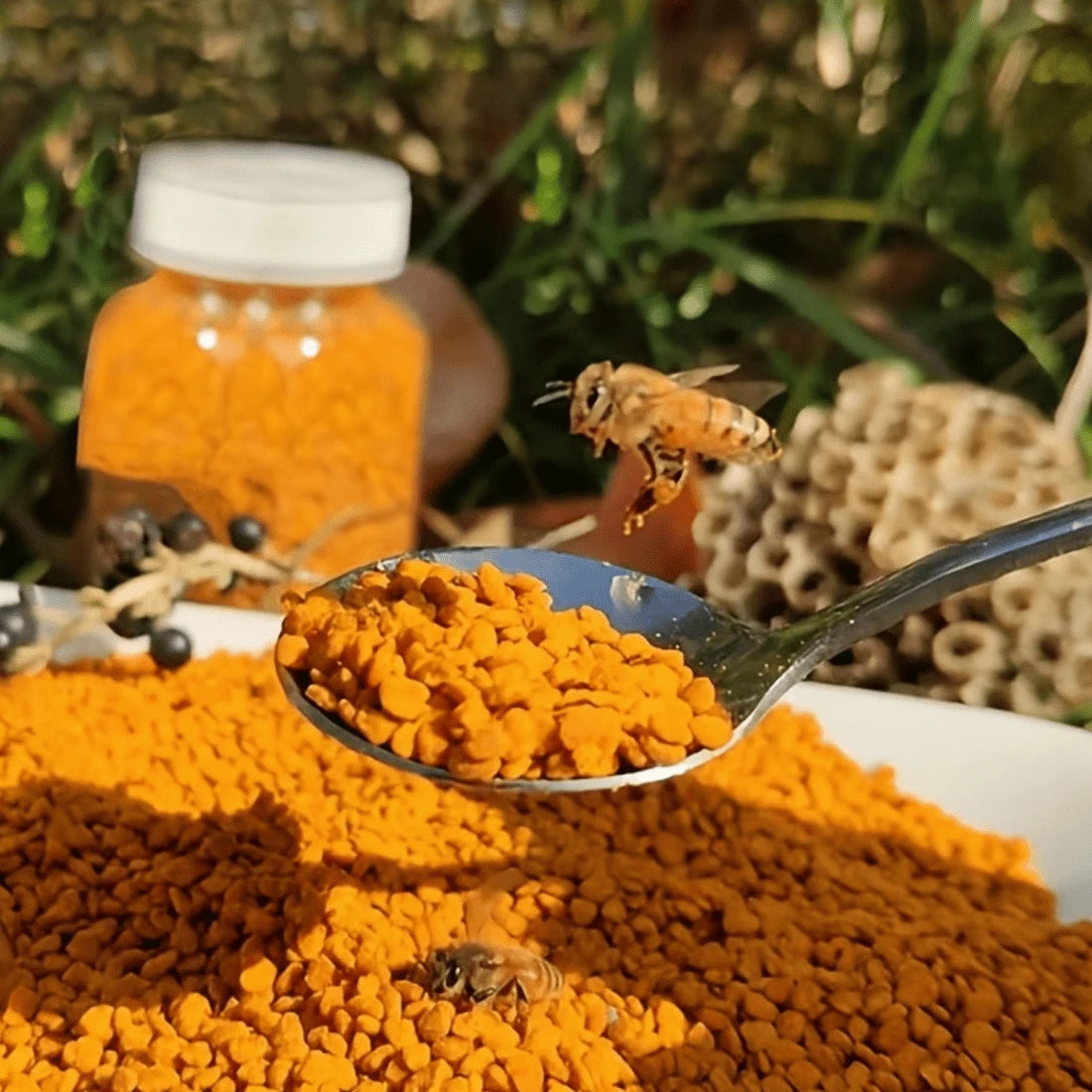 ULTHMOK Bee Pollen, 10.58 Oz (300 G), No Additives, Pure Bee Granules, Bee Pollen Powder