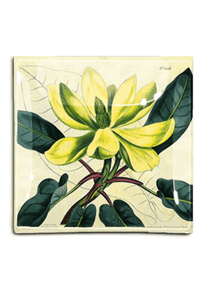 Yellow Magnolia No. 1206 Decoupage Glass Tray - Ben's Garden