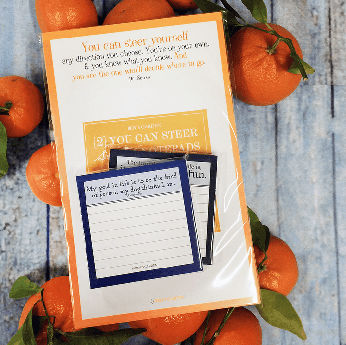 You Can Steer Yourself Anywhere You Choose Scribble Notepad Set Of 2 - Ben's Garden